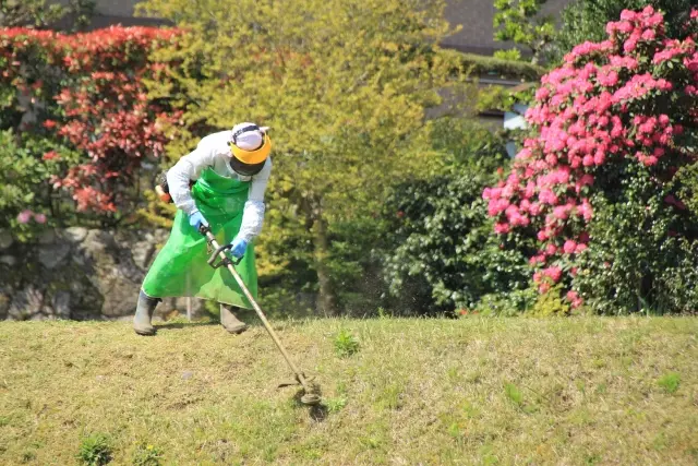 空き地の草刈り